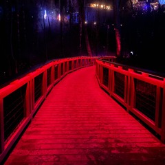 (#e66 radio) like that👾