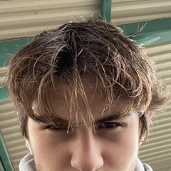 Dionnysuss - fangs X silver surfer (slowed + reverb).mp3