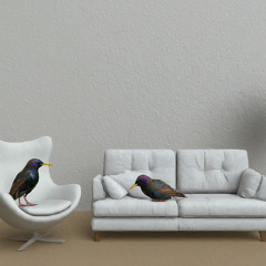 White Room (Stahelsy Bootleg)