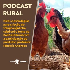 Dicas para criação frango e galinha caipira com participação do produtor, Fabrício Andrade