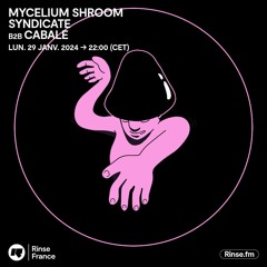 Mycelium Shroom Syndicate b2b Cabale - 29 Janvier 2024