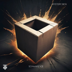 SCHWARZICE - Mystery Box [TMTDL25]