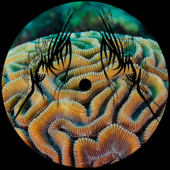 REC° & Mary_Me - Catch Me At Tokonoma