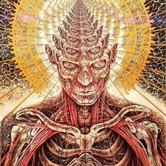 Human Behaviour Patterns