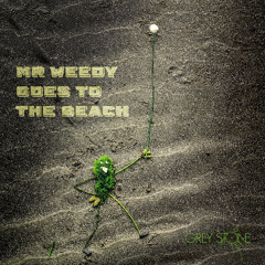 Mr Weedy Goes To The Beach