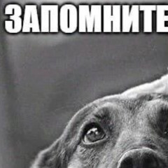 when the otviortka w glaz