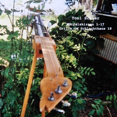 Toni Schaer - Grille Im Schlachthaus