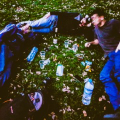 Vondelpark Meltdown