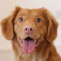 cy woods diss pt 2 feat yvng oli