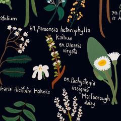 It's Ōtepoti's Fault (Mike Majkowski's Postcard Remix)