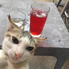 salt-lewis-remix.mp3