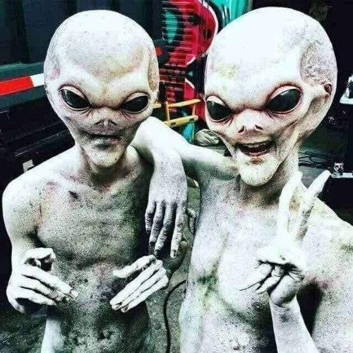 Why Not? - Free Download!! :)