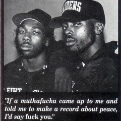 If A Muthafucka Came Up To Me & Told Me To Make A Record About Peace, I'd Say Fuck You