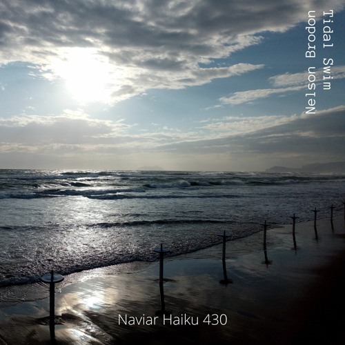 Nelson Brodon - Tidal Swim (NaviarHaiku 430)