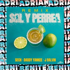 Sech Ft. Daddy Yankee & J Balvin - Sal y Perrea x Me Niegas (Adrian Benitez Mashup 90Bpm)