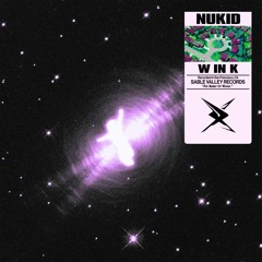 WINK - NUKID (Ruxxi Remix)