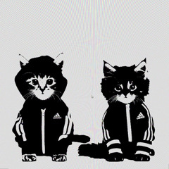 sqwore-archive2023lifeofapopstar