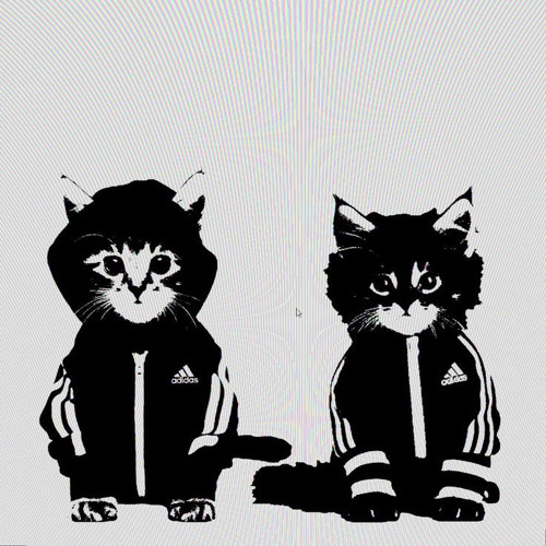 sqwore-archive2023lifeofapopstar