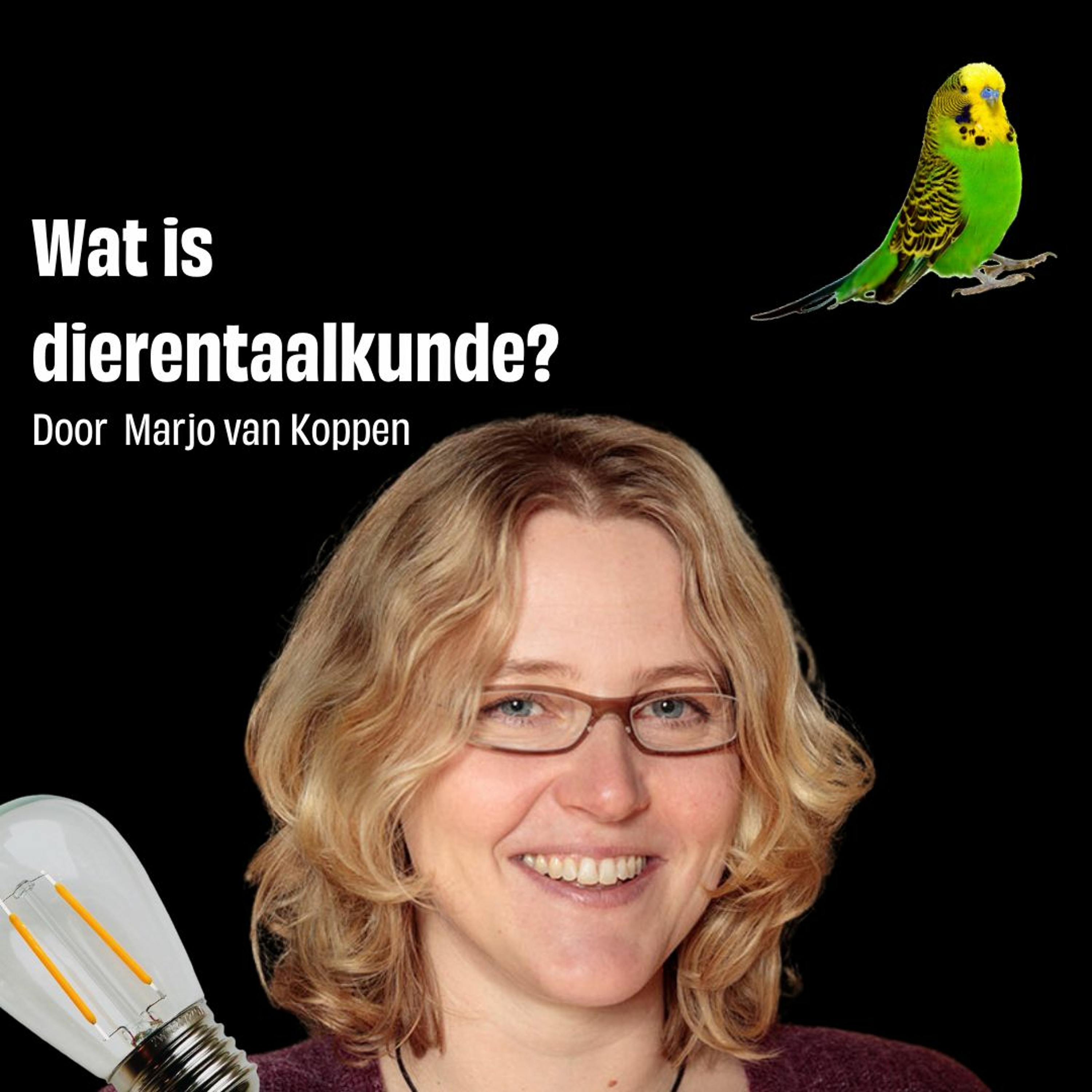 Moeilijke Dingen Makkelijk Uitgelegd
