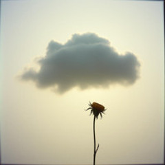 Tired. ( ꩜ ᯅ ꩜;)⁭ ⁭