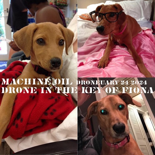 Droneuary 24 2024 Drone In The Key Of Fiona