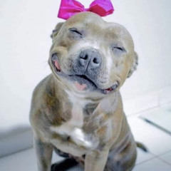 Songs to maul a toddler to 🥰