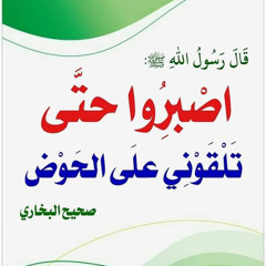 سورة النازعات | المنشاوي