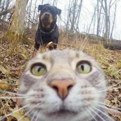 work in progress song