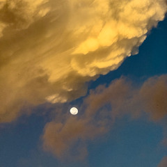 Ambient Live Stream for FixC