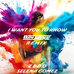 I Want You To Know ZEDD & Selena Gomez (BIGMIKE REMIX) Pitched Down