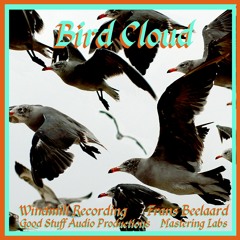 Bird Cloud