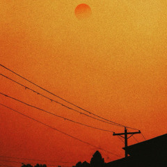 THE SUNDANCE DEMO