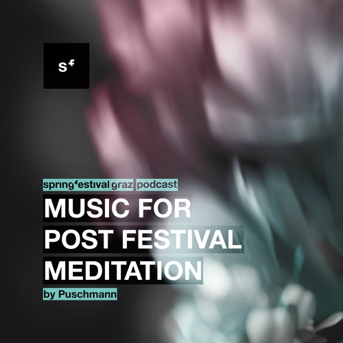 Puschmann - Music For Post Festival Meditation
