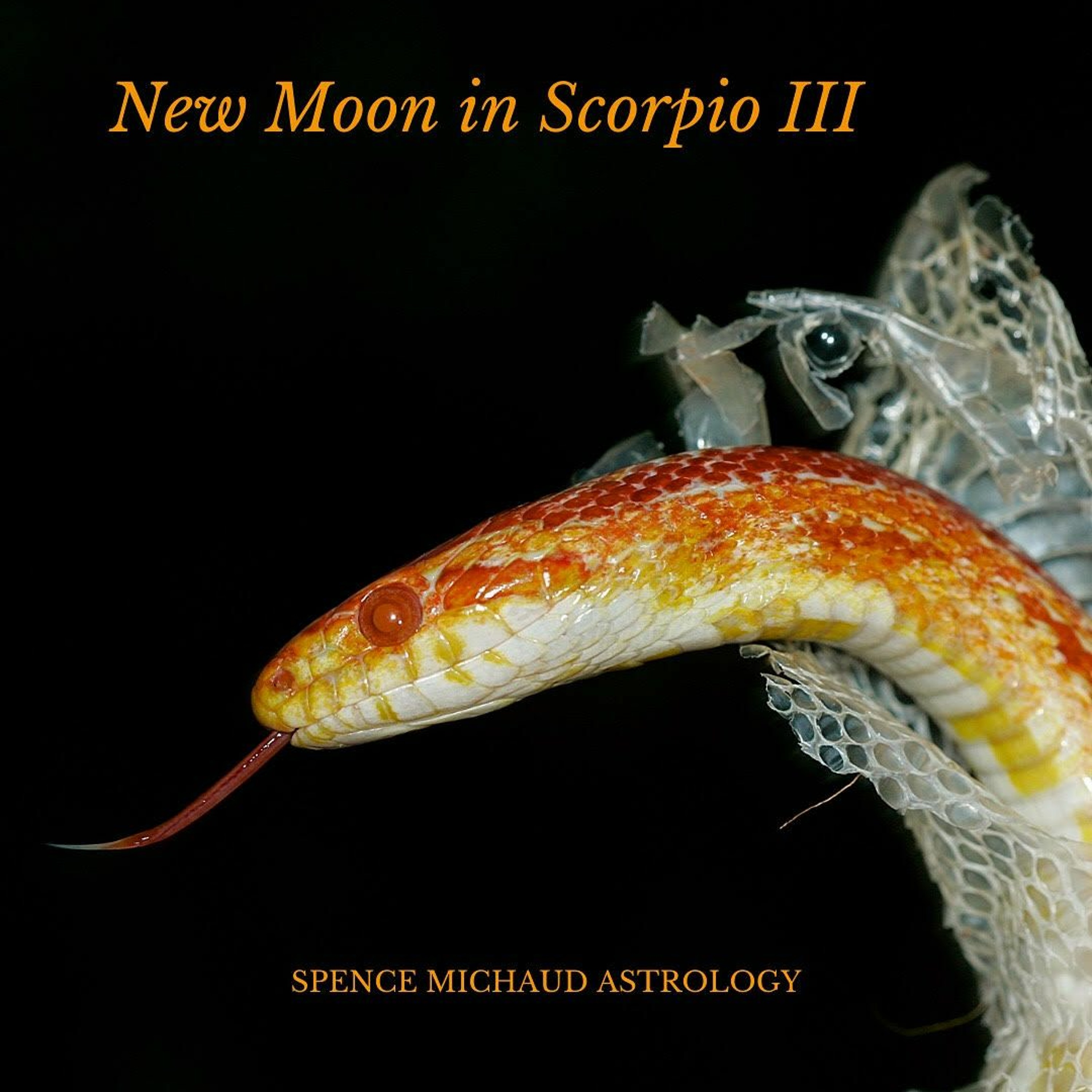 Spencer Michaud Astrology