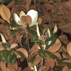 your grace through the moment.