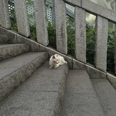 Merchandise ft Yuma (produce by A one)