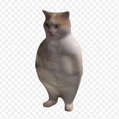 KITTY RIDDIM
