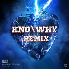Quix - Gunning For You (KNO/WHY Remix)