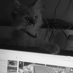 ‎⁨ تعوفه مجروح⁩ليش