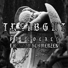 PARCOCALE X PHANTOMSCHMERZEN - TREIBGUT