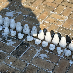 부끄럽네 cover