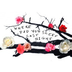 Where Did You Sleep Last Night