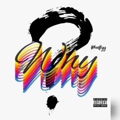 WHOSFLYY - Why