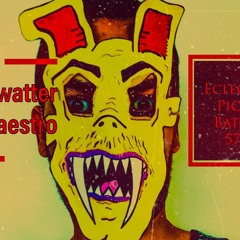 Flyswatter Maestro's Eclectic picks 570