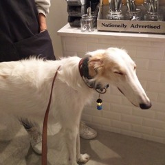 Jane Remover+kmoe - champ #Amen {videocat rework)