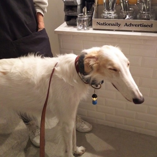 Jane Remover+kmoe - champ #Amen {videocat rework)