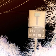 Estelle Bellemin - 2021 - Reconstruction