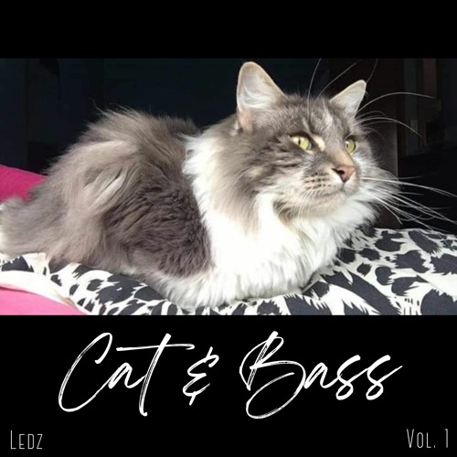 Cat and Bass - Volume 1