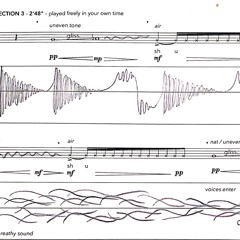 Silent Spring (Ruth Morley - Red Note Ensemble)