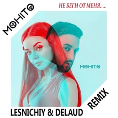Не беги от меня (Lesnichiy & Delaud Radio Remix)